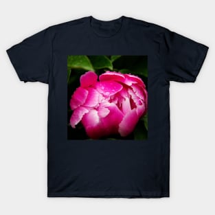 pink peony T-Shirt